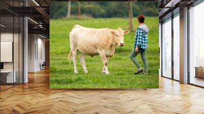 woman in a blue plaid shirt interacts with a large beige cow in a green field, the cow looking at the woman closely Wall mural