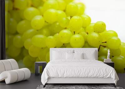 Bunch of ripe grapes Wall mural