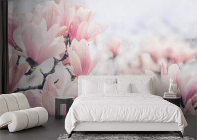 Magnolia flowers in the morning light. Pastels colors Wall mural