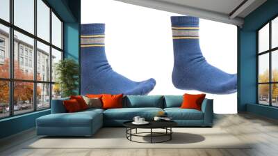 
A pair of blue socks on the leg Wall mural