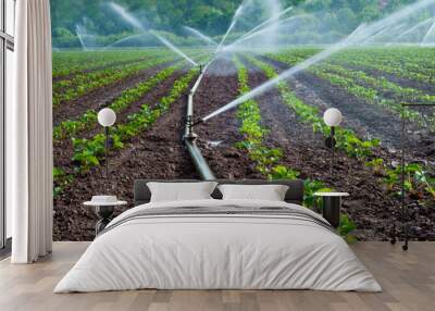 Agriculture water spray Wall mural