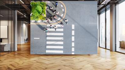 top view of crowd people walk on pedestrian crosswalk street pavement. Concept aerial view pedestrian space. Wall mural