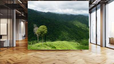 Landscape view of the big trees and the mountain when seen from Mo Ko Chu Noi Viewpoint, Mae Wong National Park, Kamphaeng Phet, Thailand. Wall mural