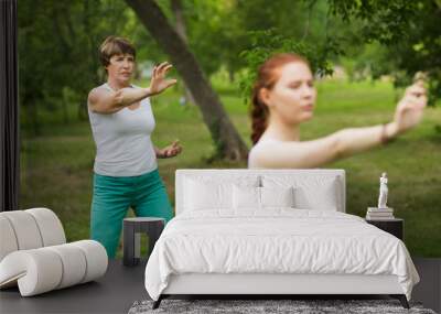 group of people practice Tai Chi Chuan in a park.  Chinese management skill Qi's energy. Wall mural