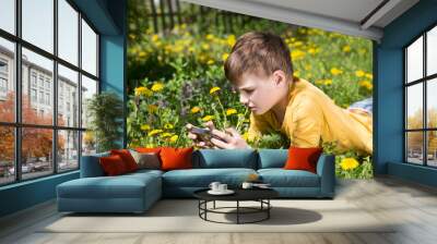 Preteen use the phone, play the game and chatting with friends. mobile internet. Preteen boy plays on a smartphone or watches video lying on the grass during the summer day Wall mural