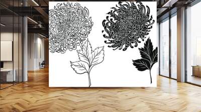 colorful flower with chrysanthemum for printing on background. Chrysanthemum flower vector for tattoo design.Japanese floral illustration for doodle art on white isolated background. Wall mural