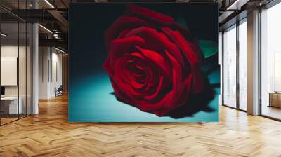 beautiful red rose to celebrate a love Wall mural