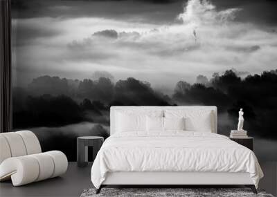 trees in the fog - black and white photo Wall mural