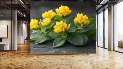 Exploring the Health Benefits of Rhodiola Rosea Extract for Enhanced Stamina and Wellness Wall mural