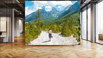 Woman hikers walking in Valbona valley next to trees, Theth national park, Albanian Alps, Albania Wall mural