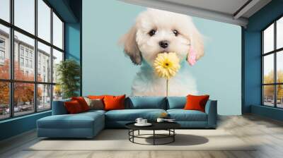 Spring animal creative concept of a cute baby puppy dog holding a fresh spring flower on a pastel background. Generative AI. Wall mural