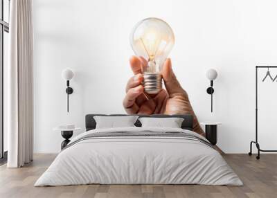 A hand holding a light bulb symbolizes a bright idea or creative solution Wall mural