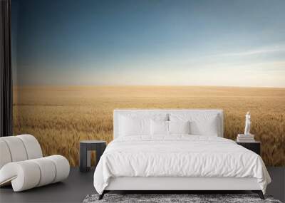 Golden wheat field at sunset under a blue sky, portraying the beauty of rural agriculture amidst a serene summer landscape Wall mural