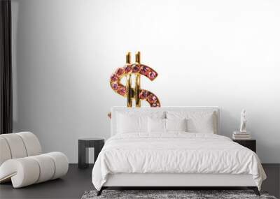 symbol of dollar as a decoration on a white background Wall mural