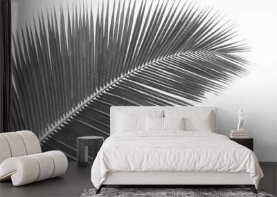 Palme de cocotier  Wall mural