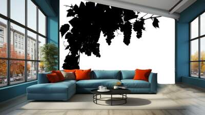 vigne et grappes de raisin en noir sur fond blanc  Wall mural