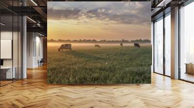 Panorama of grazing cows in a meadow with grass covered with dewdrops and morning fog, and in the background the sunrise in a small haze. Wall mural