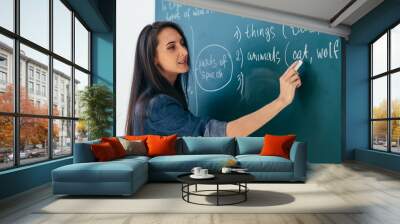 Student or teacher standing in front of the class blackboard Wall mural