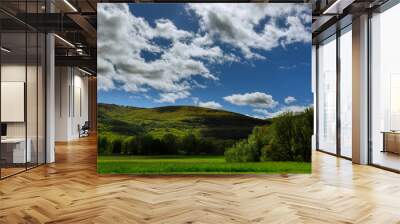 A landscape with mountains and blue sky with white clouds Wall mural