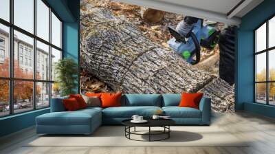 As result of hurricane tree fell during thunderstorm which caused worker to use chainsaw that was powered by battery Wall mural