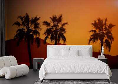 Beautiful view nature mountain of arizona with silhouette palm tree on the sunset time Wall mural