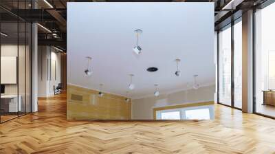 Close-up hand changes a light LED in a stylish preparations for ceiling lamp interior lighting installation Wall mural