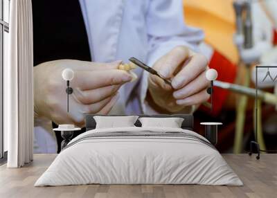 Close up photo of dentist's hands holding dental tools. Wall mural