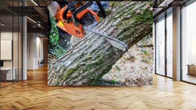 Following a violent storm, a municipal worker cuts down a broken tree in forest Wall mural