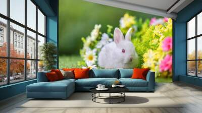 Lovely bunny easter fluffy new born baby white rabbit on colorful flowers and easter eggs on green garden nature background on warmimg day. Animal symbol of easter day festival. Wall mural