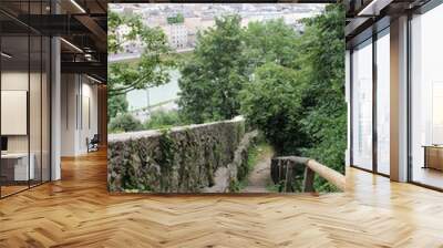 stairs among the trees in the park Wall mural