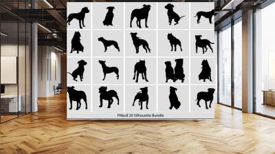 Pit Bull silhouette black  Set bundle collection
 Wall mural