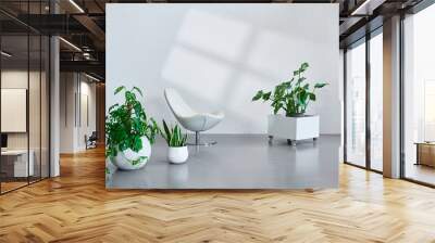 Grey stone wall background and botanic vase of plant flower, home accessory lamp and chair decor. Interior room concept. Window reflection detail. Wall mural