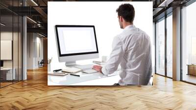 businessman working on computer Wall mural