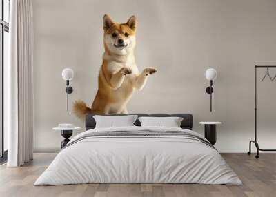 cute shiba dog having fun and dancing , dog smile ,shiba coin Wall mural