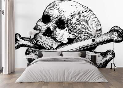 Vintage image human skull Wall mural