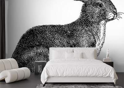 Vintage image rabbit Wall mural