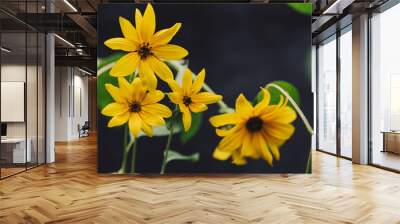 Dainty bright sunflowers in the garden Wall mural