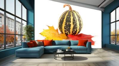  Decorative pumpkins on white background. Autumn fruits. Wall mural