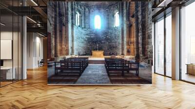 Cathedral of Maguelone Wall mural