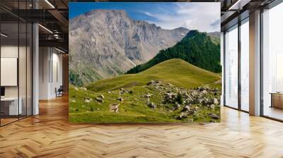 paysage des hautes-alpes (col de vars) Wall mural