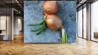 Green Onion on Metal Layer Wall mural