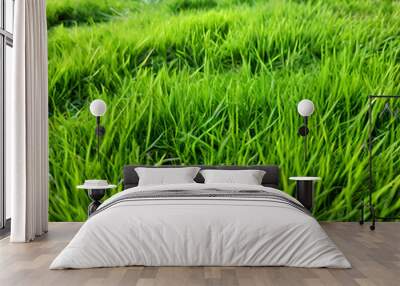 green grass in the wind Wall mural