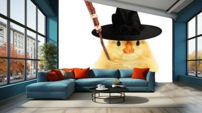 Cute cool chick scary witch with broom funny conceptual image Wall mural