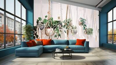 a row of hanging plants in bonehmian boho plant holders against a white wall Wall mural