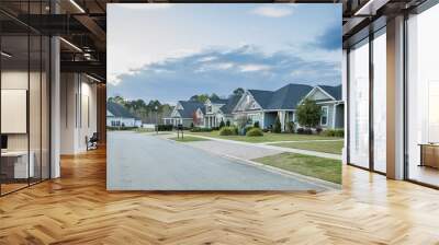 A street view of a new construction neighborhood with larger landscaped homes and houses with yards and sidewalks taken near sunset with large clouds in the sky Wall mural