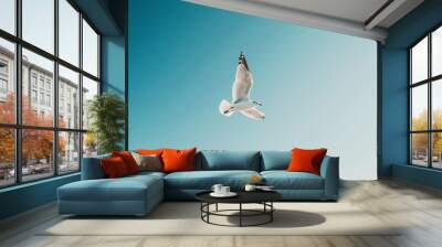 A solitary bird flying in a clear blue sky Wall mural