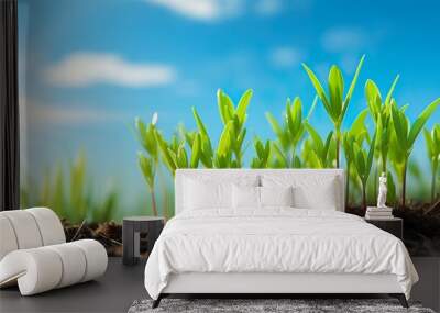 grass and sky Wall mural