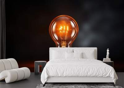 light bulb on black background Wall mural