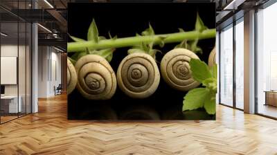 snail on a leaf Wall mural