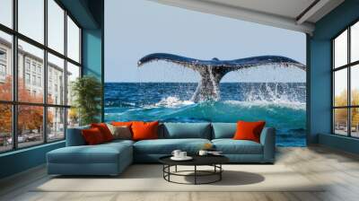 A Humpback whale raises its powerful tail over the water of the Ocean. The whale is spraying water. Scientific name: Megaptera novaeangliae. South Africa. Wall mural